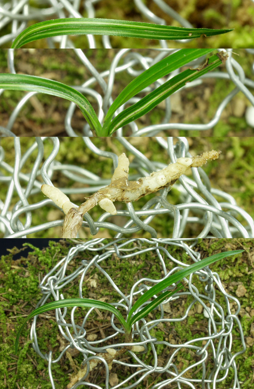  ū   ֽϴ.