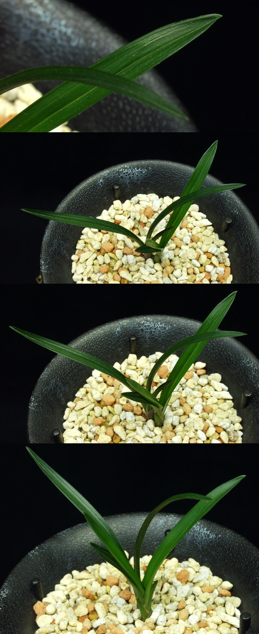  ū   ֽϴ.