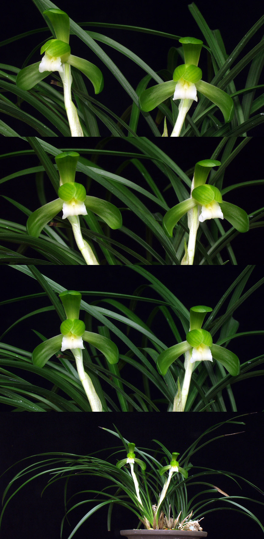  ū   ֽϴ.