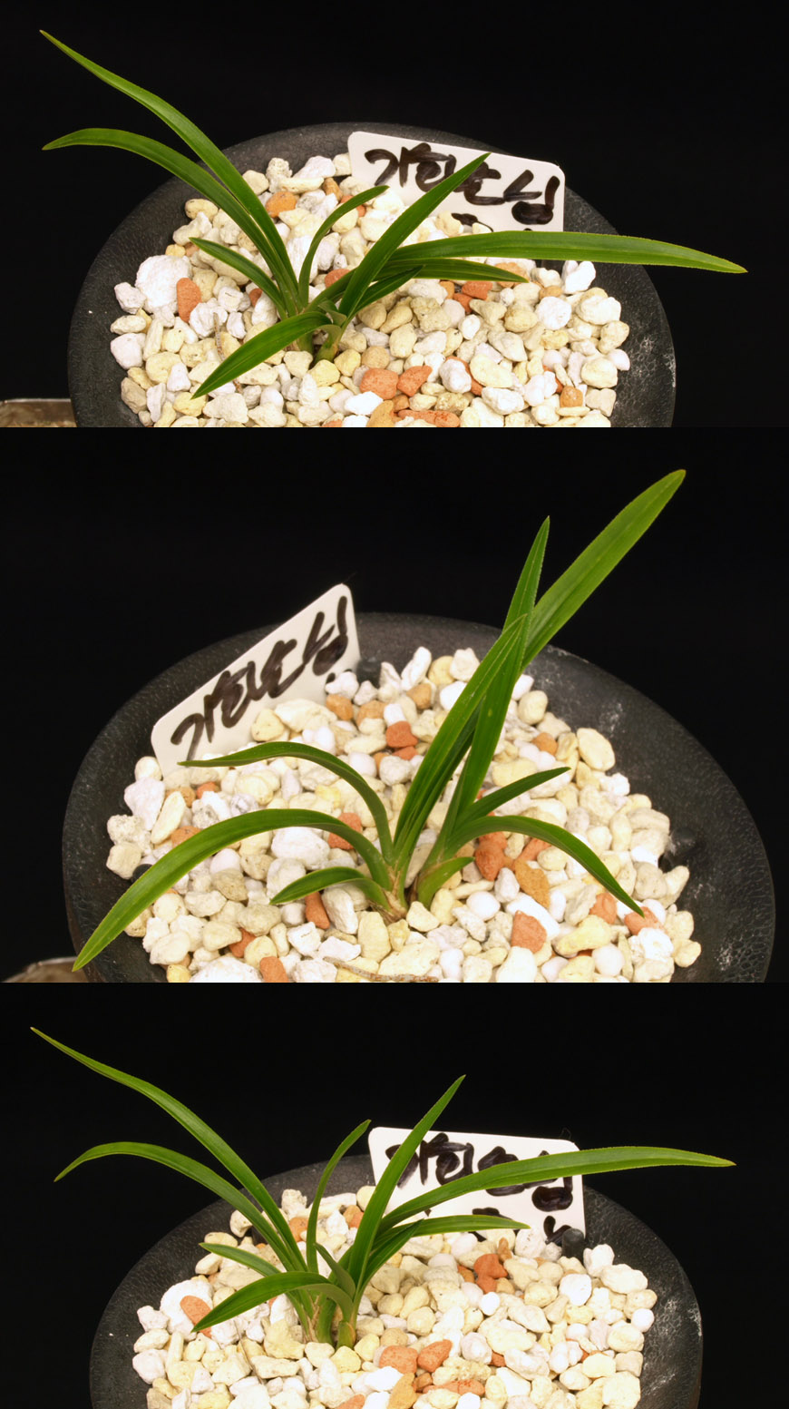  ū   ֽϴ.